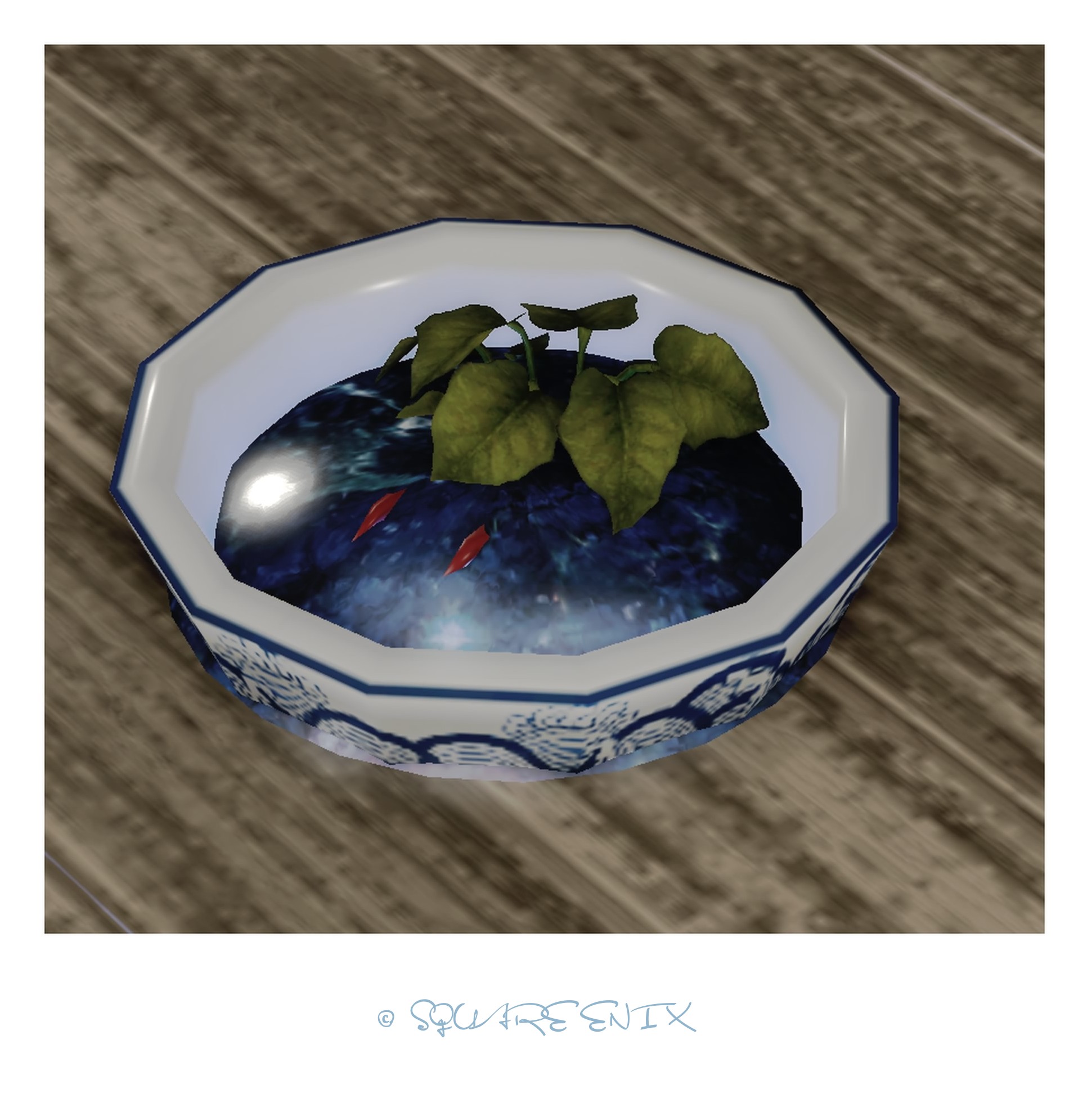 睡蓮鉢